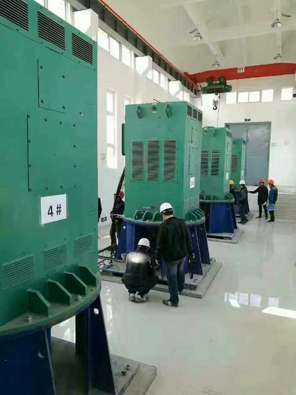 泸县某污水处理厂使用我厂的立式高压电机安装现场